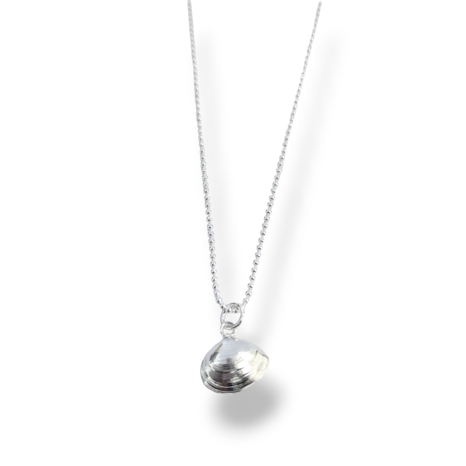 Tellin Shell Necklace