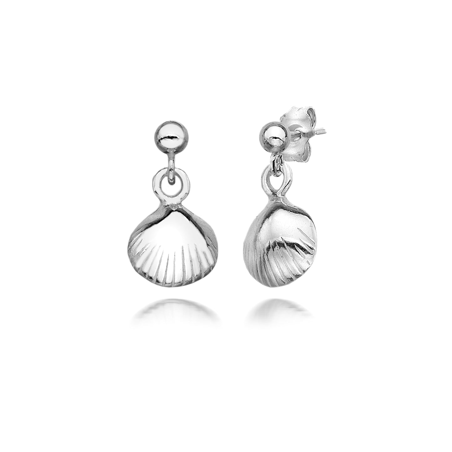 Seashell Earrings